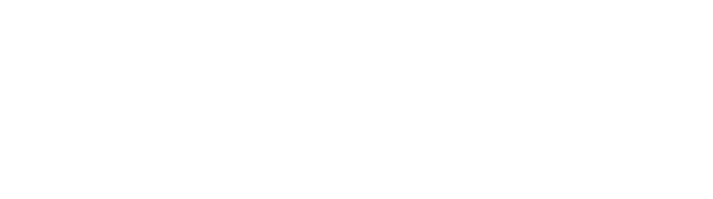 Adidas x VIRGINIA